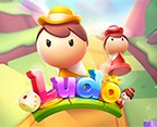 Ludo KM